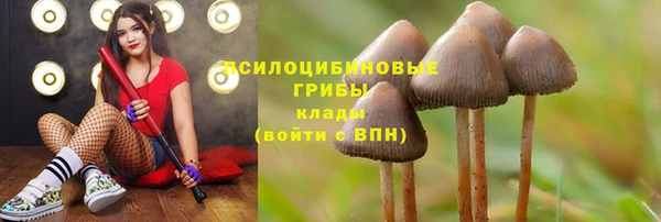 mix Верея