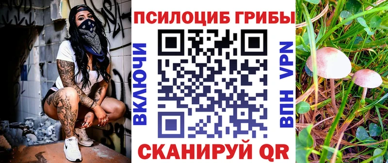 Псилоцибиновые грибы MAGIC MUSHROOMS  как найти закладки  Иннополис 